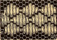 An illustration from The dictionary of needlework : an encyclopædia of artistic, plain, and fancy needlework ... (1882)