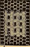 An illustration from The dictionary of needlework : an encyclopædia of artistic, plain, and fancy needlework ... (1882)