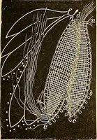 An illustration from The dictionary of needlework : an encyclopædia of artistic, plain, and fancy needlework ... (1882)