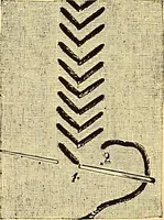An illustration from The dictionary of needlework : an encyclopædia of artistic, plain, and fancy needlework ... (1882)