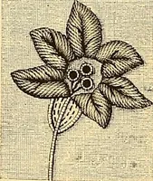 An illustration from The dictionary of needlework : an encyclopædia of artistic, plain, and fancy needlework ... (1882)