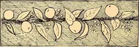 An illustration from The dictionary of needlework : an encyclopædia of artistic, plain, and fancy needlework ... (1882)