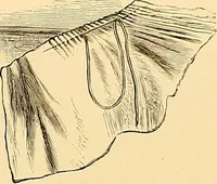 An illustration from The dictionary of needlework : an encyclopædia of artistic, plain, and fancy needlework ... (1882)