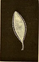 An illustration from The dictionary of needlework : an encyclopædia of artistic, plain, and fancy needlework ... (1882)