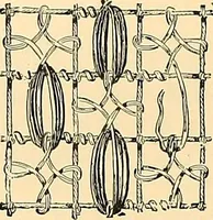 An illustration from The dictionary of needlework : an encyclopædia of artistic, plain, and fancy needlework ... (1882)