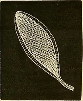 An illustration from The dictionary of needlework : an encyclopædia of artistic, plain, and fancy needlework ... (1882)