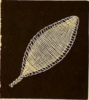An illustration from The dictionary of needlework : an encyclopædia of artistic, plain, and fancy needlework ... (1882)