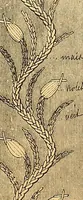 An illustration from The dictionary of needlework : an encyclopædia of artistic, plain, and fancy needlework ... (1882)