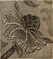 An illustration from The dictionary of needlework : an encyclopædia of artistic, plain, and fancy needlework ... (1882)