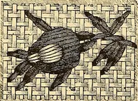 An illustration from The dictionary of needlework : an encyclopædia of artistic, plain, and fancy needlework ... (1882)