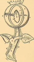 An illustration from The dictionary of needlework : an encyclopædia of artistic, plain, and fancy needlework ... (1882)