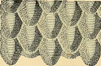 An illustration from The dictionary of needlework : an encyclopædia of artistic, plain, and fancy needlework ... (1882)