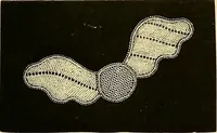 An illustration from The dictionary of needlework : an encyclopædia of artistic, plain, and fancy needlework ... (1882)