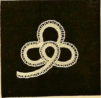 An illustration from The dictionary of needlework : an encyclopædia of artistic, plain, and fancy needlework ... (1882)