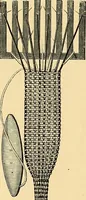 An illustration from The dictionary of needlework : an encyclopædia of artistic, plain, and fancy needlework ... (1882)