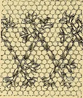 An illustration from The dictionary of needlework : an encyclopædia of artistic, plain, and fancy needlework ... (1882)