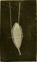 Picture 26 of 243 from The dictionary of needlework : an encyclopædia of artistic, plain, and fancy needlework ... (1882), leaf 24