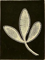 An illustration from The dictionary of needlework : an encyclopædia of artistic, plain, and fancy needlework ... (1882)