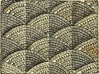 An illustration from The dictionary of needlework : an encyclopædia of artistic, plain, and fancy needlework ... (1882)