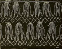An illustration from The dictionary of needlework : an encyclopædia of artistic, plain, and fancy needlework ... (1882)