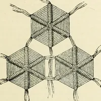 An illustration from The dictionary of needlework : an encyclopædia of artistic, plain, and fancy needlework ... (1882)