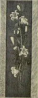 An illustration from The dictionary of needlework : an encyclopædia of artistic, plain, and fancy needlework ... (1882)