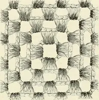 An illustration from The dictionary of needlework : an encyclopædia of artistic, plain, and fancy needlework ... (1882)