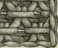An illustration from The dictionary of needlework : an encyclopædia of artistic, plain, and fancy needlework ... (1882)