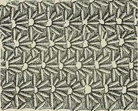 An illustration from The dictionary of needlework : an encyclopædia of artistic, plain, and fancy needlework ... (1882)
