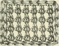 An illustration from The dictionary of needlework : an encyclopædia of artistic, plain, and fancy needlework ... (1882)