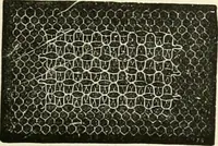 An illustration from The dictionary of needlework : an encyclopædia of artistic, plain, and fancy needlework ... (1882)