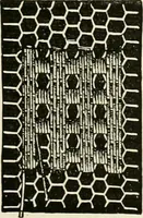 An illustration from The dictionary of needlework : an encyclopædia of artistic, plain, and fancy needlework ... (1882)
