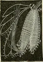 An illustration from The dictionary of needlework : an encyclopædia of artistic, plain, and fancy needlework ... (1882)