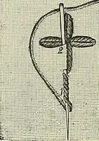 An illustration from The dictionary of needlework : an encyclopædia of artistic, plain, and fancy needlework ... (1882)