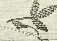 An illustration from The dictionary of needlework : an encyclopædia of artistic, plain, and fancy needlework ... (1882)
