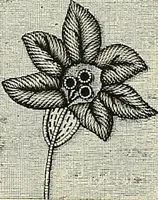 Picture 252 of 571 from The dictionary of needlework : an encyclopædia of artistic, plain, and fancy needlework ... (1882), leaf 205