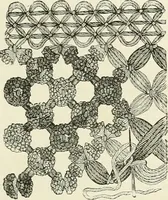 An illustration from The dictionary of needlework : an encyclopædia of artistic, plain, and fancy needlework ... (1882)