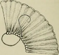 An illustration from The dictionary of needlework : an encyclopædia of artistic, plain, and fancy needlework ... (1882)