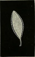An illustration from The dictionary of needlework : an encyclopædia of artistic, plain, and fancy needlework ... (1882)