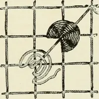 An illustration from The dictionary of needlework : an encyclopædia of artistic, plain, and fancy needlework ... (1882)