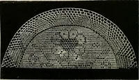 An illustration from The dictionary of needlework : an encyclopædia of artistic, plain, and fancy needlework ... (1882)