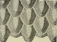 An illustration from The dictionary of needlework : an encyclopædia of artistic, plain, and fancy needlework ... (1882)