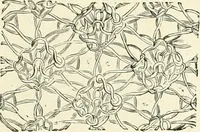 An illustration from The dictionary of needlework : an encyclopædia of artistic, plain, and fancy needlework ... (1882)