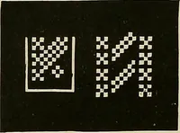 An illustration from The dictionary of needlework : an encyclopædia of artistic, plain, and fancy needlework ... (1882)