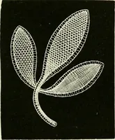 An illustration from The dictionary of needlework : an encyclopædia of artistic, plain, and fancy needlework ... (1882)