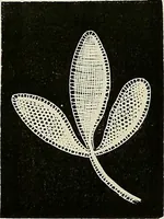 An illustration from The dictionary of needlework : an encyclopædia of artistic, plain, and fancy needlework ... (1882)