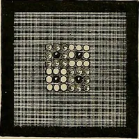 An illustration from The dictionary of needlework : an encyclopædia of artistic, plain, and fancy needlework ... (1882)