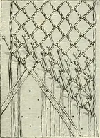 An illustration from The dictionary of needlework : an encyclopædia of artistic, plain, and fancy needlework ... (1882)