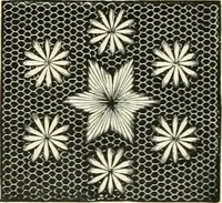 Picture 423 of 571 from The dictionary of needlework : an encyclopædia of artistic, plain, and fancy needlework ... (1882), leaf 366