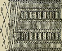 An illustration from The dictionary of needlework : an encyclopædia of artistic, plain, and fancy needlework ... (1882)